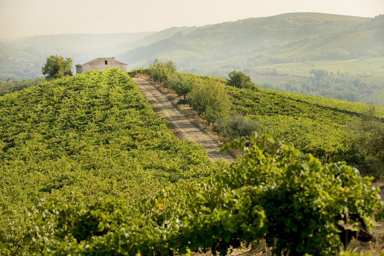 Baldovino B&B Villamagna  외부 사진